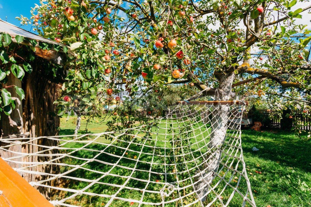 Garden And Vegetable Garden for the Lazy: How To Facilitate Work In the Cottage (Part 1)