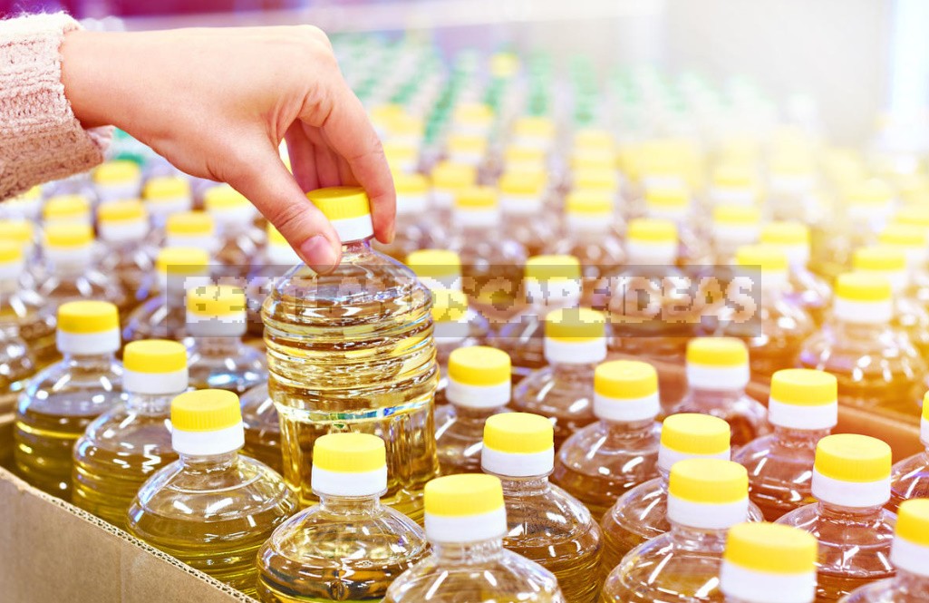 Harm Of Vegetable Oils: What Is The Danger To Health (Part 1)