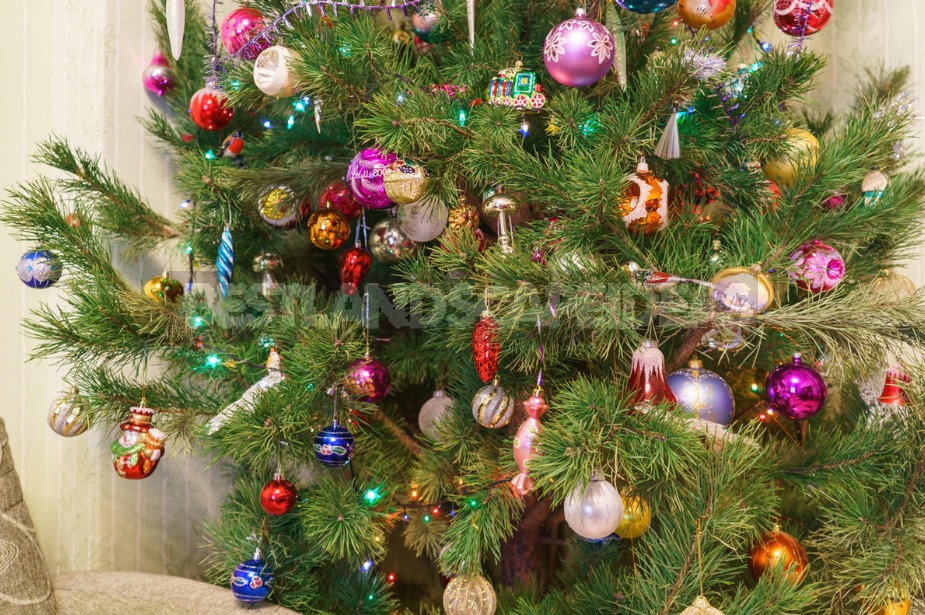 How To Decorate a Christmas Tree: 17 Ready-Made Decor Ideas