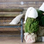 How To Save a Christmas Tree In a Pot, Bought In the Store