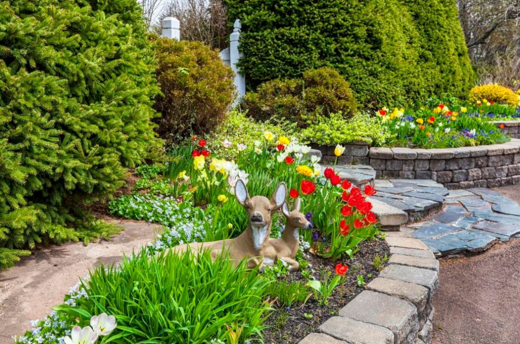 How To Arrange a Raised Flower Bed