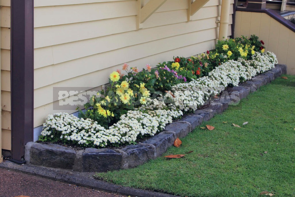 how to arrange a raised flower bed - best landscaping ideas