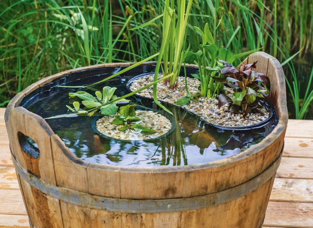 Mini Pond With His Hands From a Wooden Tub