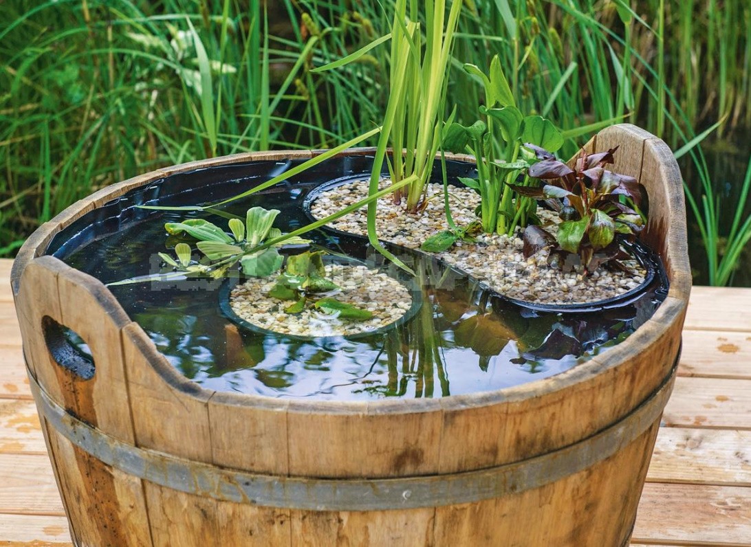 Mini Pond With His Hands From a Wooden Tub - Best Landscape Ideas