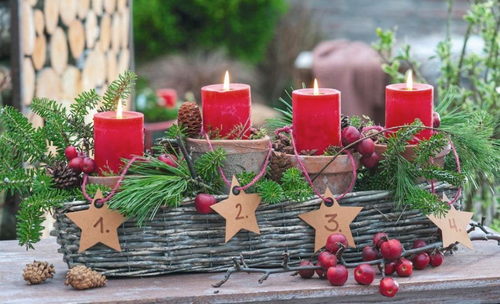 New Year Comes To the Garden: We Create Compositions From Natural Materials