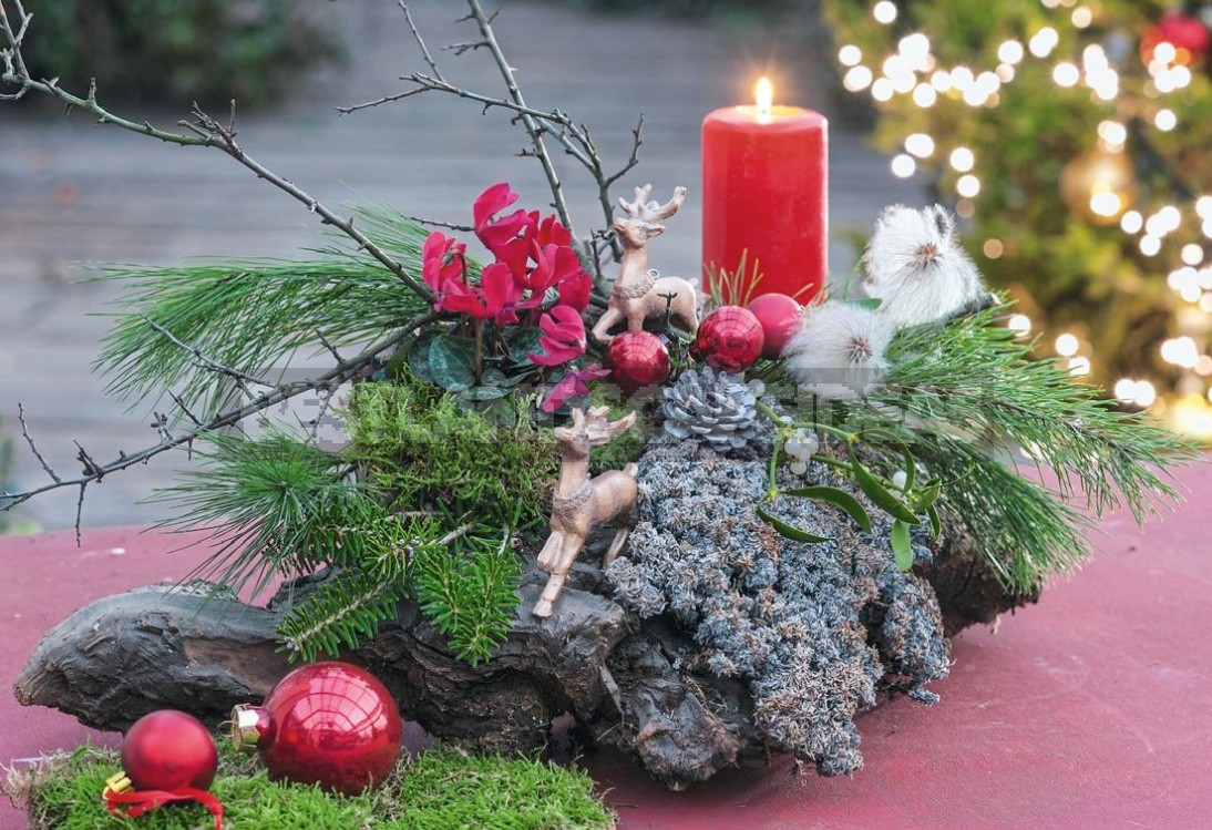 New Year Comes To the Garden: We Create Compositions From Natural Materials