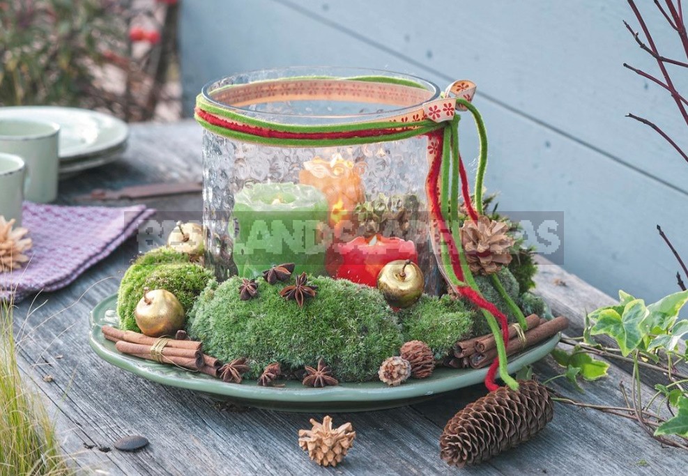 New Year Comes To the Garden: We Create Compositions From Natural Materials