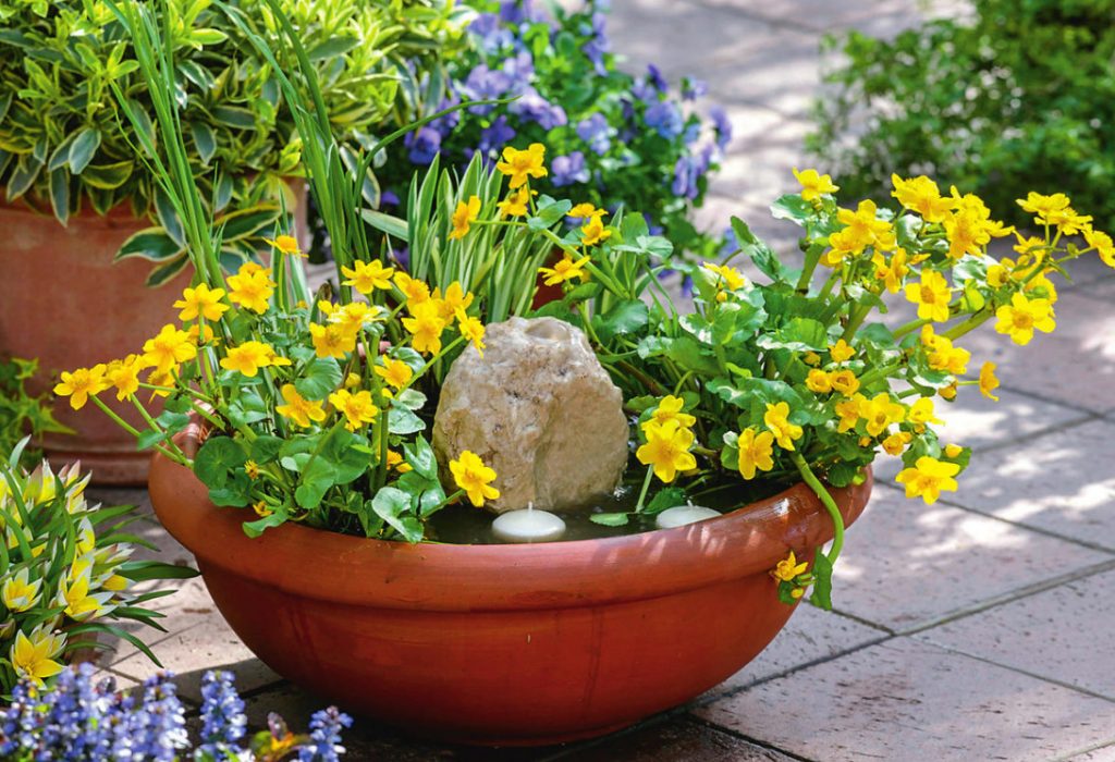 Small Ponds For Small Plots