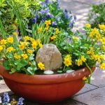 Small Ponds For Small Plots
