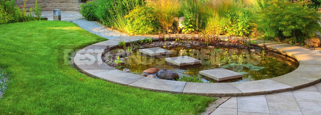 Small Ponds For Small Plots