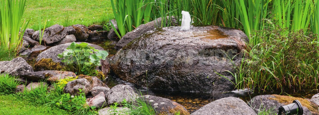 Small Ponds For Small Plots