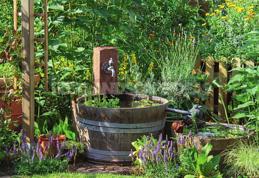 Small Ponds For Small Plots