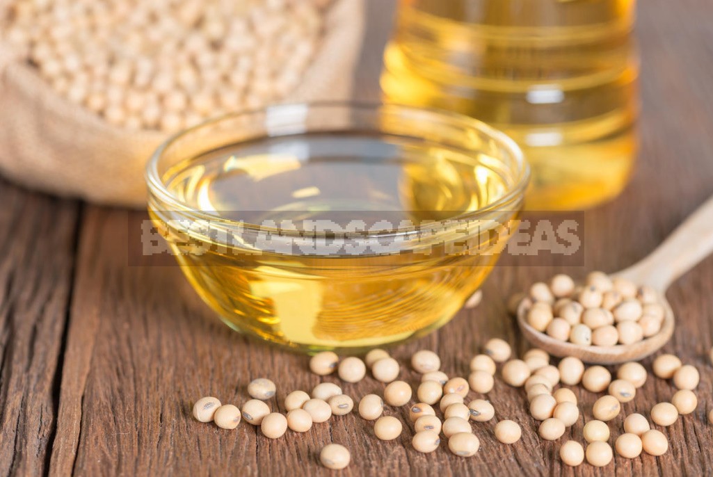 Vegetable And Animal Oils: What Is Best For Cooking (Part 3)