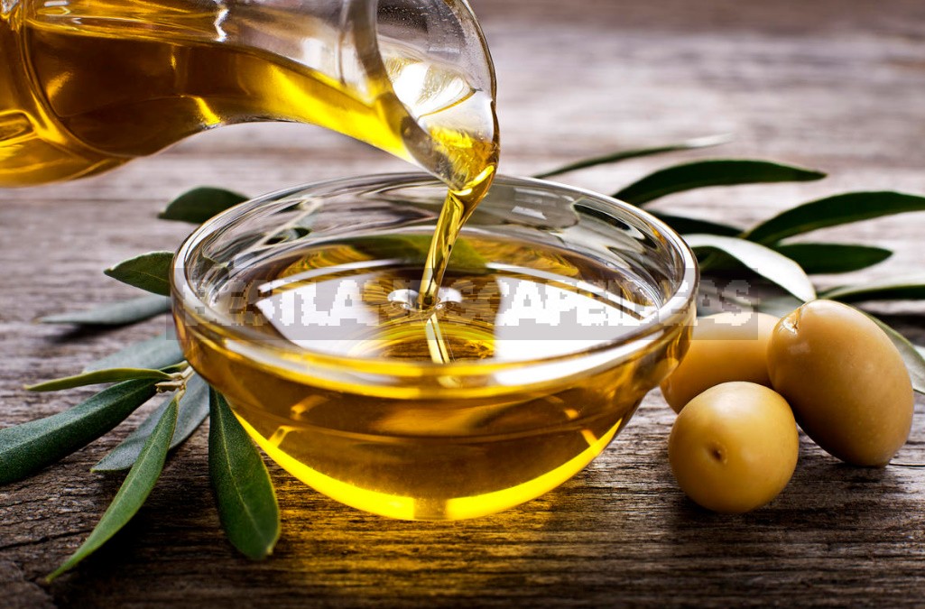 Vegetable And Animal Oils: What Is Best For Cooking (Part 2)