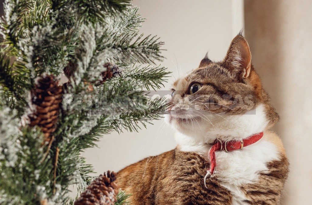 What Are the Dangers of An Artificial Christmas Tree?