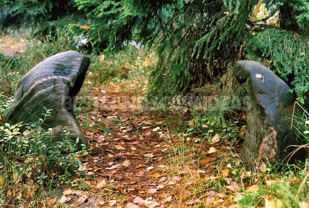 About Stones, Their Life In The Garden And Their Relationship With The Gardener (Part 1)