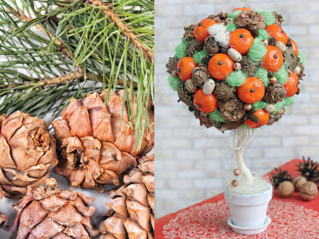 Christmas Topiary With Pine Cones And Tangerines: a Master Class