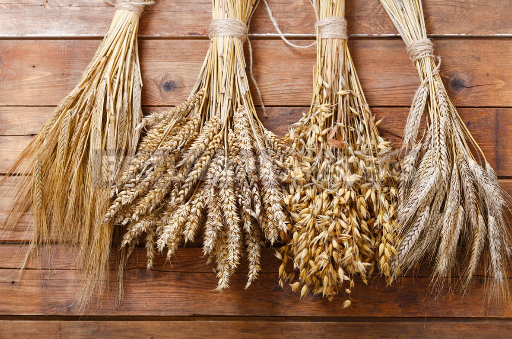 Four proven Braga Recipes: From Corn, Grain, Rice, And Starch (Part 1)