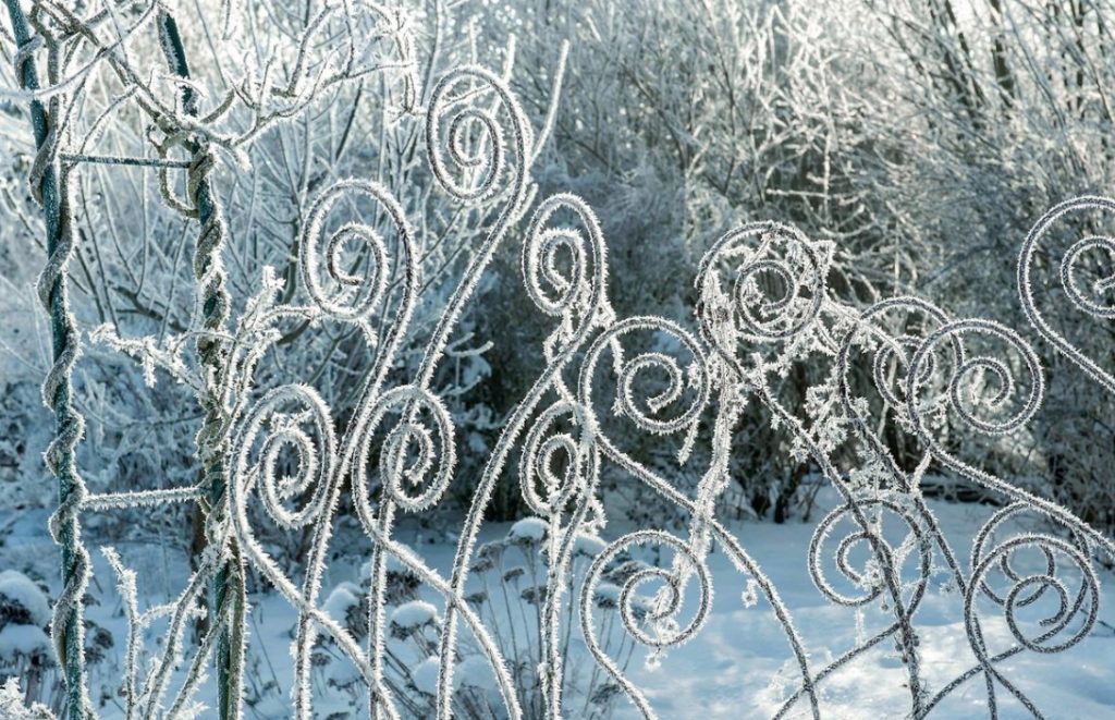 Garden Design In Winter: Techniques And Accents Of Landscape Design
