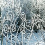 Garden Design In Winter: Techniques And Accents Of Landscape Design