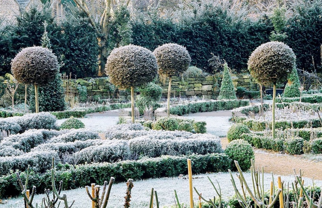 Garden Design In Winter: Techniques And Accents Of Landscape Design