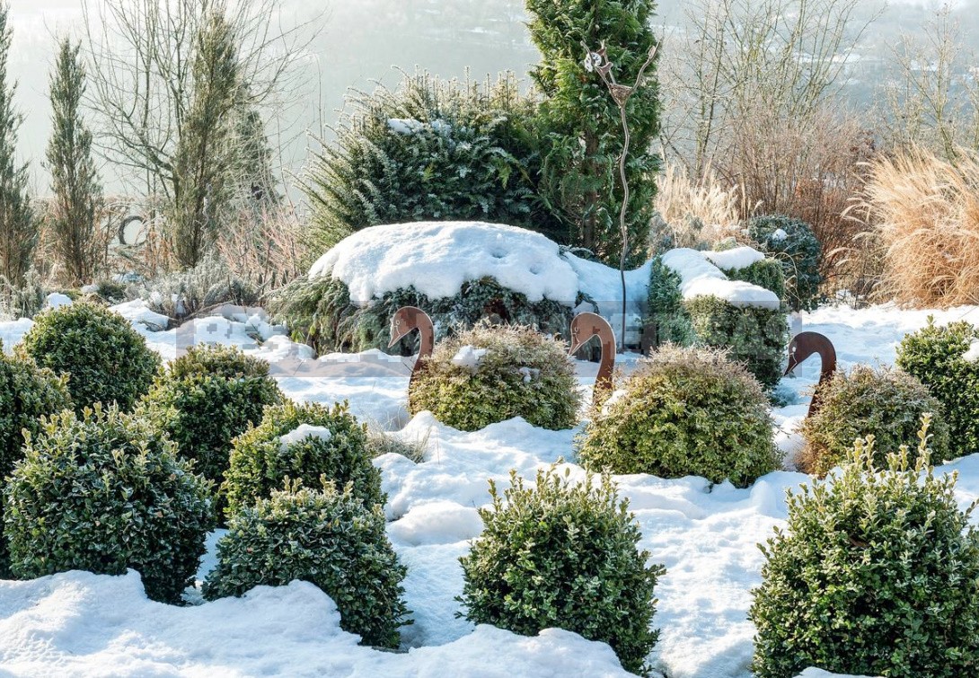 Garden Design In Winter: Techniques And Accents Of Landscape Design