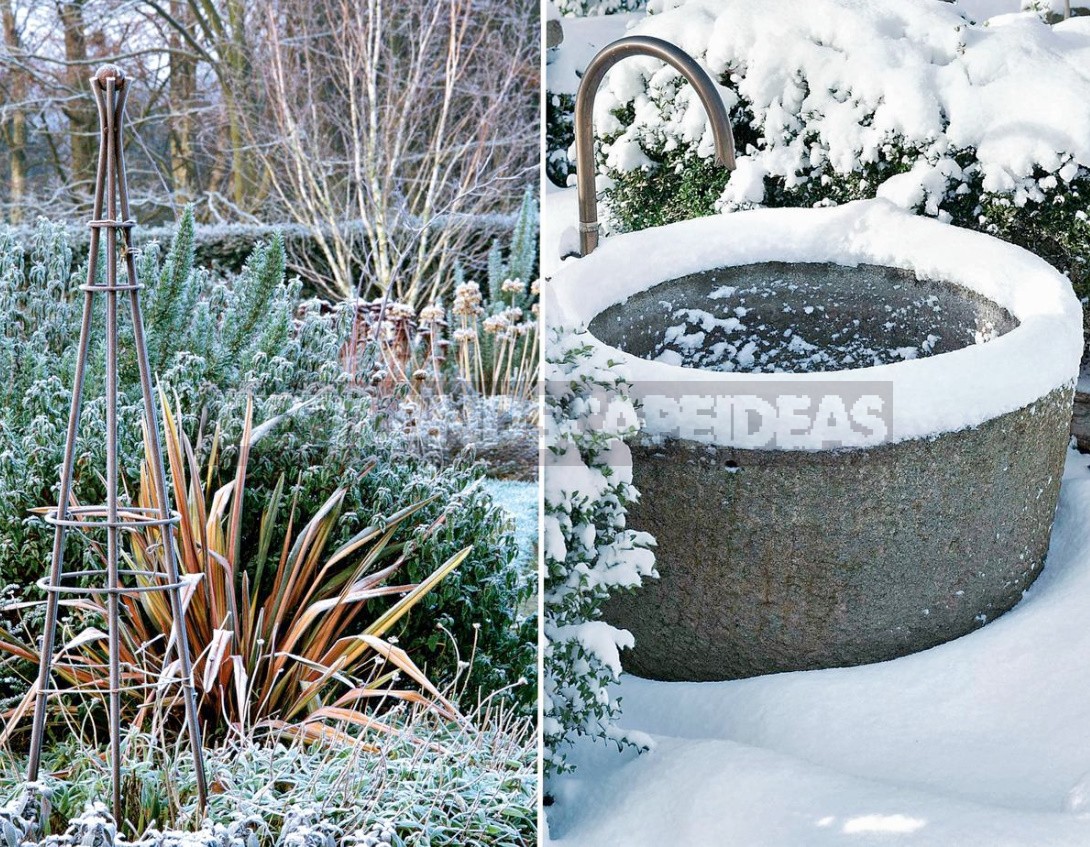 Garden Design In Winter: Techniques And Accents Of Landscape Design