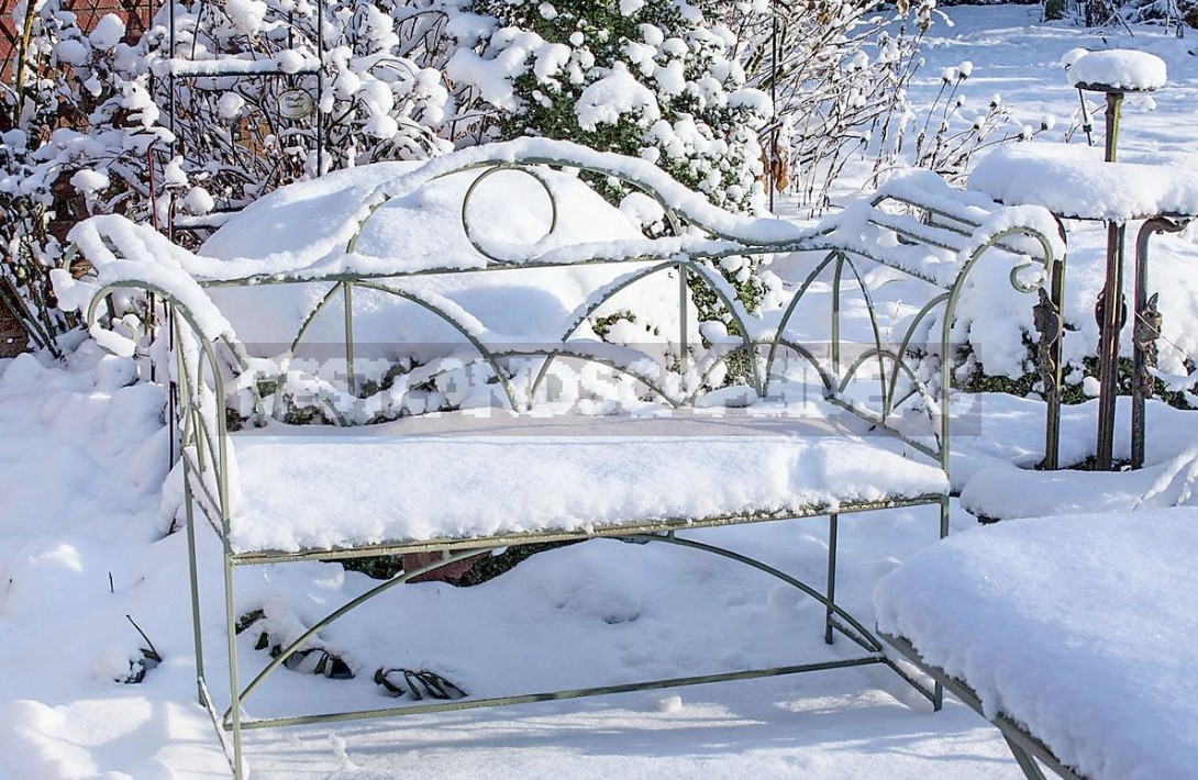 Garden Design In Winter: Techniques And Accents Of Landscape Design