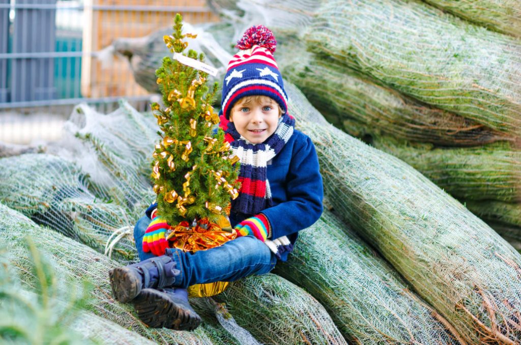 How Not To Stay For the New Year Without a Christmas Tree