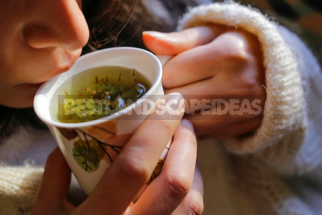 Is It Possible To Use Tea Instead Of Diet?
