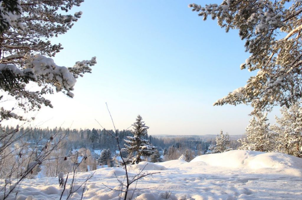January Signs