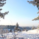 January Signs