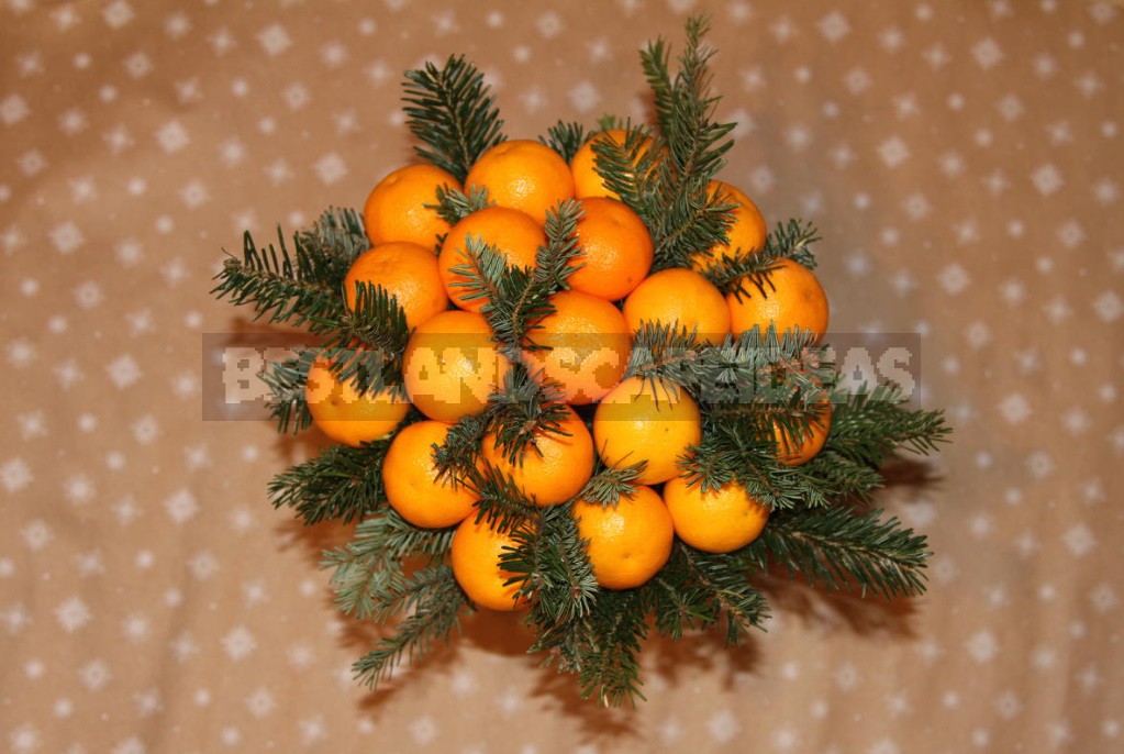 Making a New Year's Bouquet. Very Simple And Tangerine-Flavored