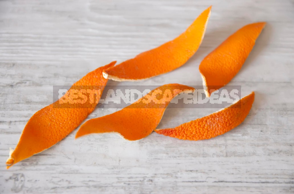 Orange Peels: Options For Use In The Cottage (Part 2)