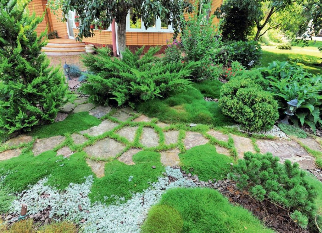 Planning of the Suburban Area: Making Your Own Project - Best Landscape ...