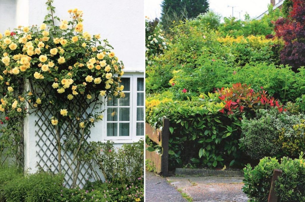 Secrets Of a Beautiful Front Garden. How To Design The Entrance Area