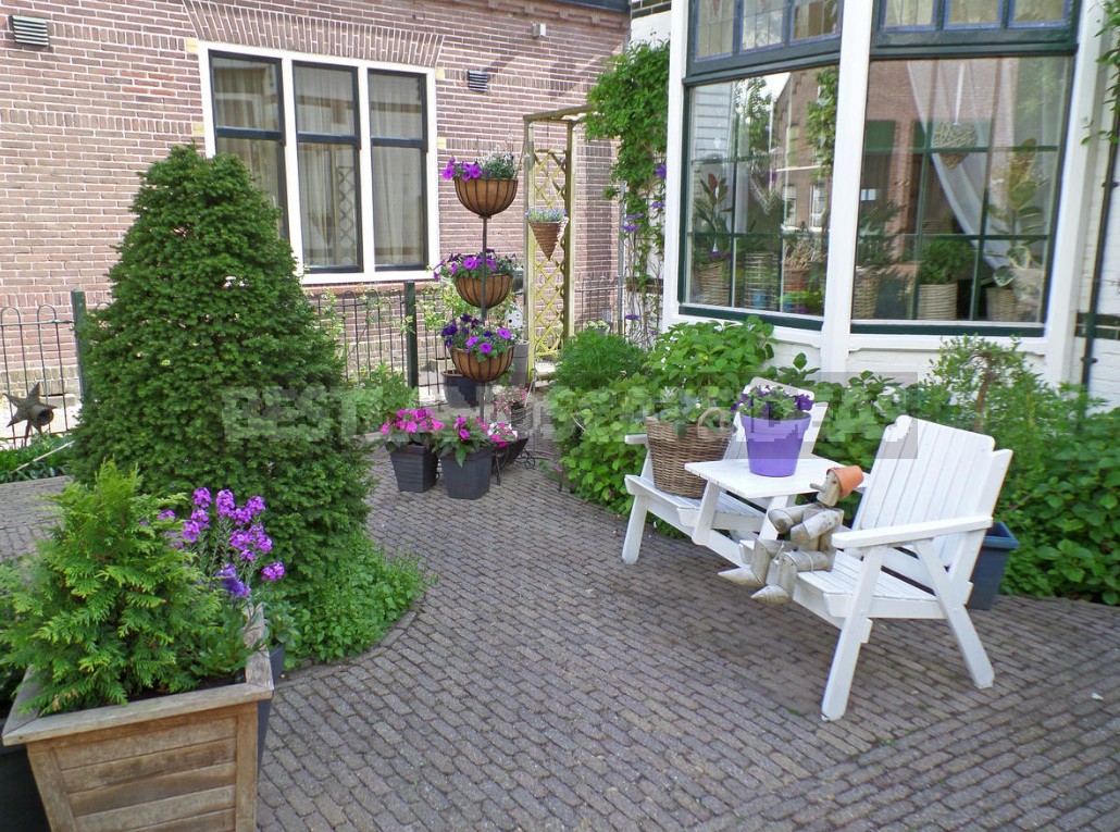 Secrets Of a Beautiful Front Garden. How To Design The Entrance Area?