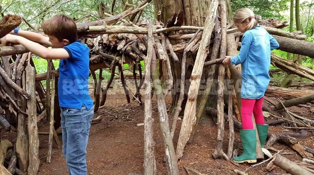 Secrets of a Happy Childhood, or Give Your Child a Garden