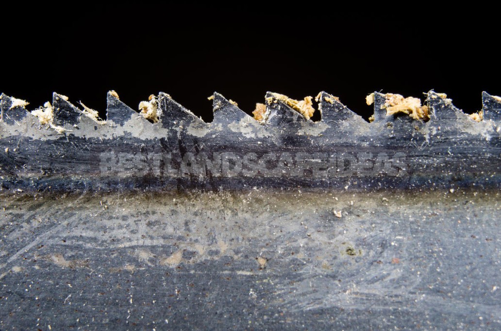 Sharpening a Saw On Wood With Your Own Hands