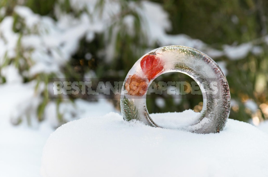 Wreaths Not Made Of Pine Needles: Ideas For New Year And Christmas Decor