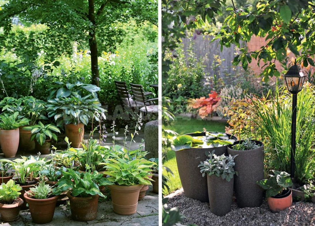A Few Ideas That Will Make The Garden Beautiful (Part 2)
