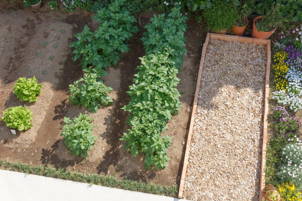 Perfect Garden Plan: 10 Simple Rules That Will Make Your Work Easier