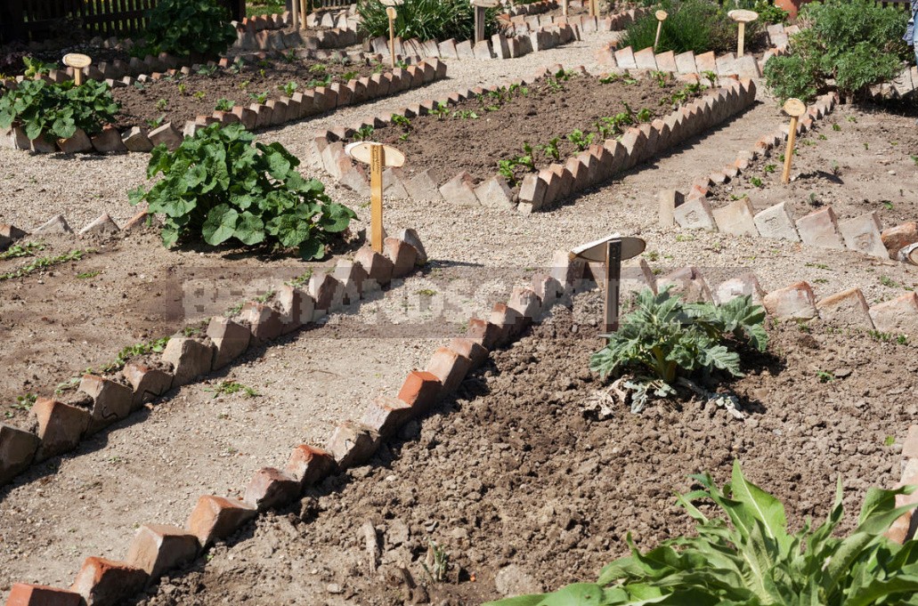 Perfect Garden Plan: 10 Simple Rules That Will Make Your Work Easier