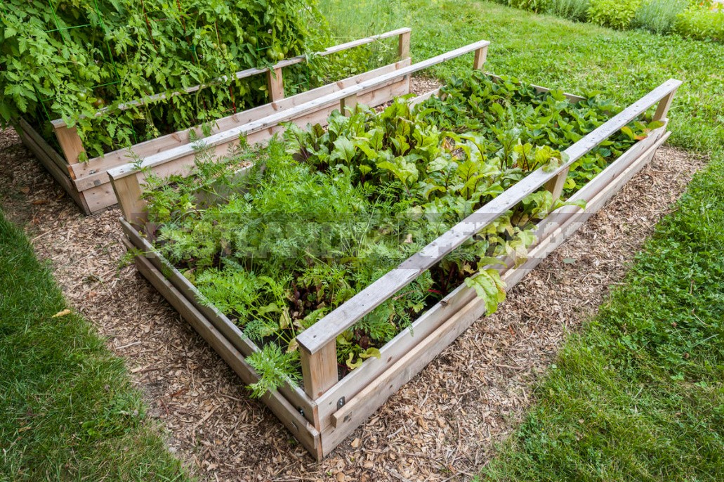 Perfect Garden Plan: 10 Simple Rules That Will Make Your Work Easier