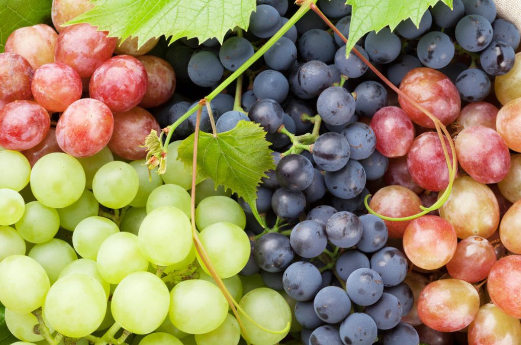 What Are The Benefits Of Grapes, Their Seeds And Leaves (Part 3)