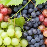 What Are The Benefits Of Grapes, Their Seeds And Leaves (Part 2)