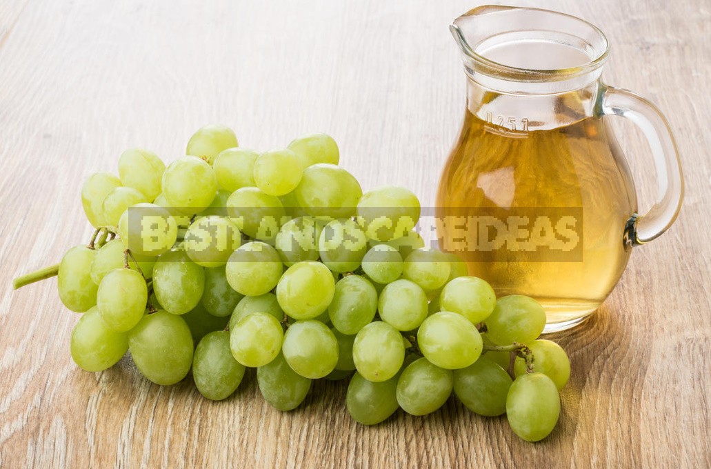 What Are The Benefits Of Grapes, Their Seeds And Leaves (Part 2)