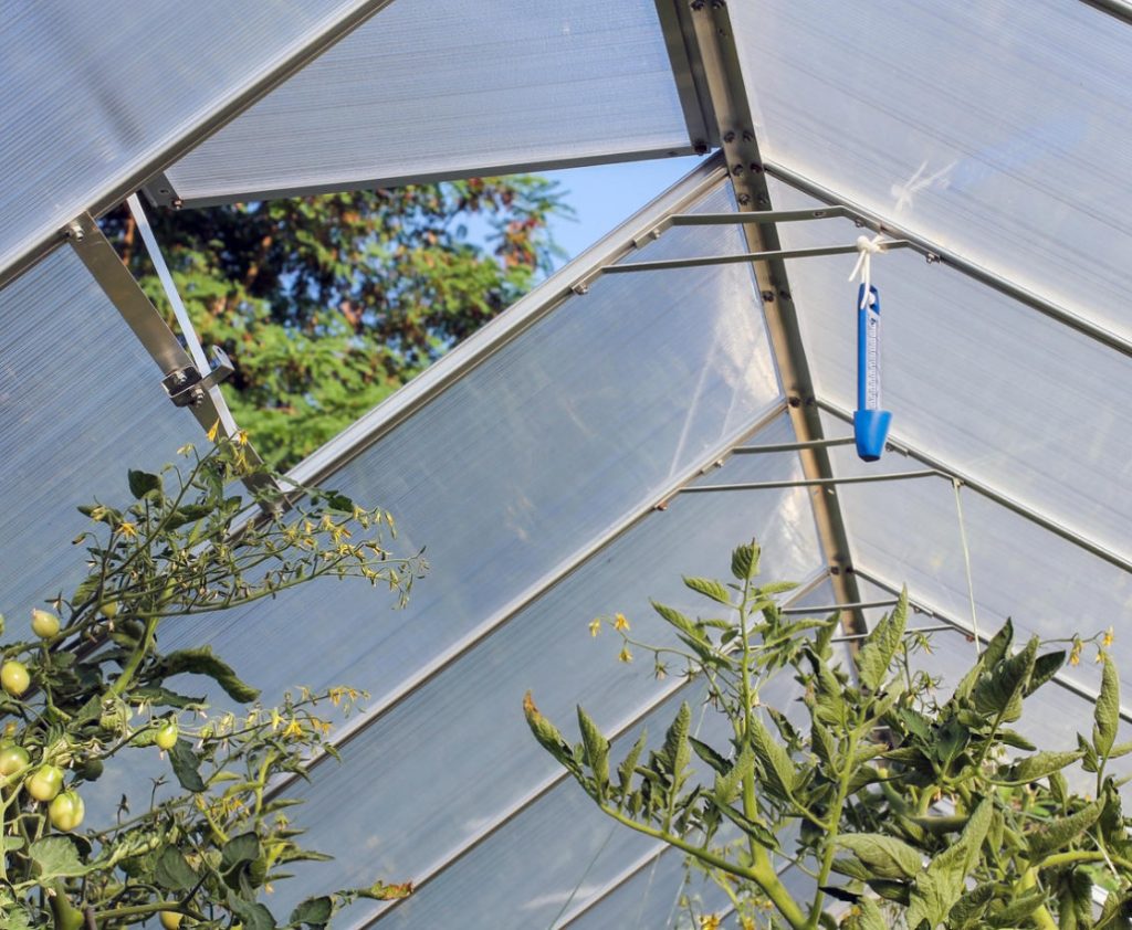 Automatic Ventilation Of Greenhouses. What Are The Options? Best