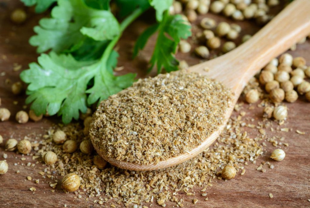 Coriander: Useful Properties And Contraindications