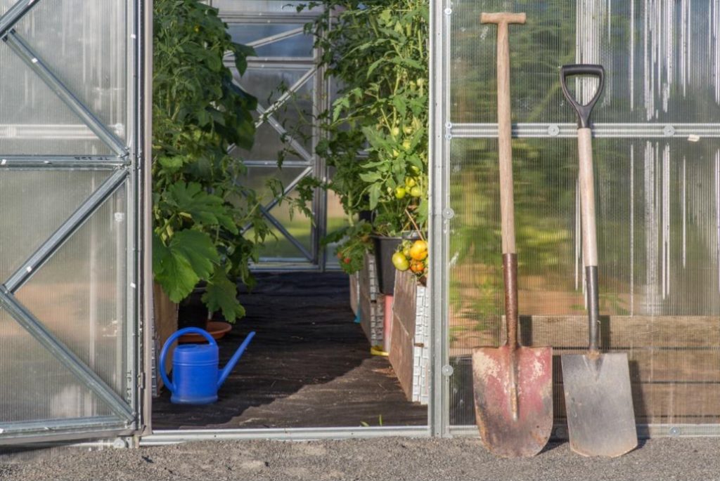 Garden Shovel And Its Varieties
